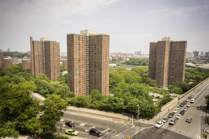 NYCHA's Polo Grounds Houses, three brick buildings, stand tall against some trees.
